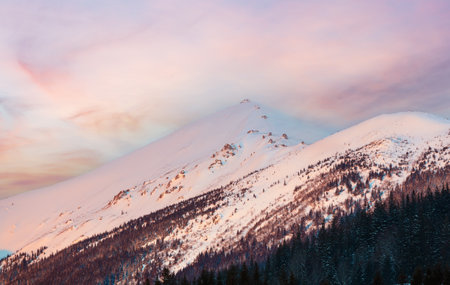 Pink sunrise morning winter snow covered scenery picturesque Vuhatyj Kaminj mountain ridge (Ukraine, Carpathian Mountains, Chornohora Range, tranquility peaceful view from Dzembronya village).の写真素材