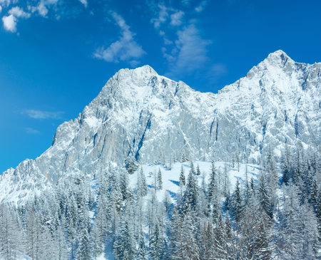 Winter rock with fresh fallen snow on top and fir forest.の写真素材