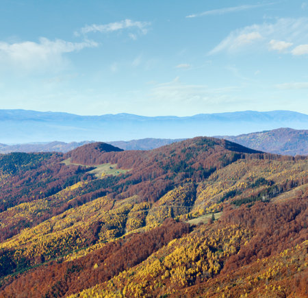 Colored mountain slopes in autumn Carpathian. Morning misty view.の写真素材