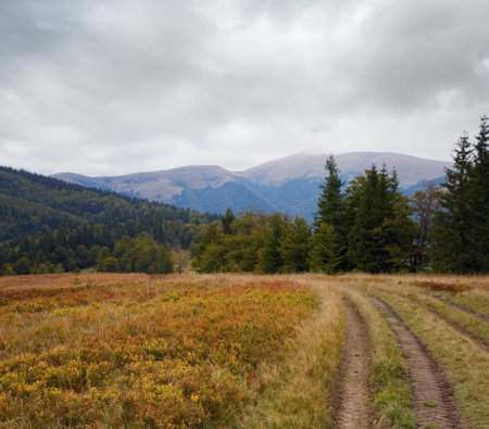 Carpathian Mountains (Ukraine) autumn landscape with country road.の写真素材