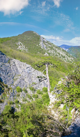 Spring Crimea Mountain landscape (Ukraine).の写真素材