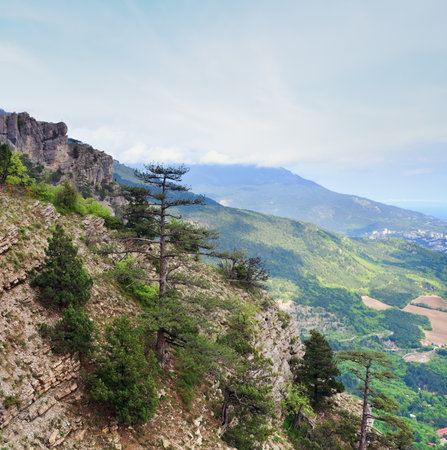 view of Yalta city from slope of Aj-Petri Mount (trail Botanical, Crimea, Ukraine)の写真素材