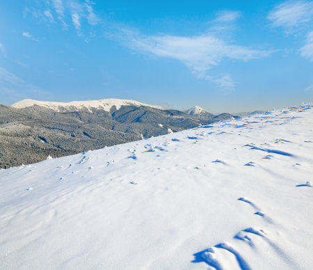 Winter calm mountain landscape with ski tracks (view from Bukovel ski resort (Ukraine) to Svydovets ridge)の写真素材