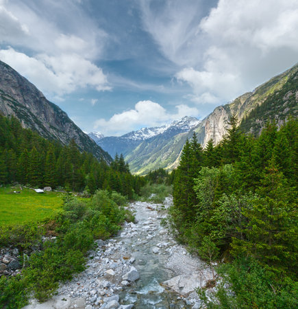 Grimsel Pass summer landscape with river and fir forest (Switzerland, Bernese Alps).の写真素材