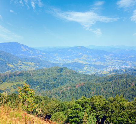 summer mountain village and forest on mountainsideの写真素材