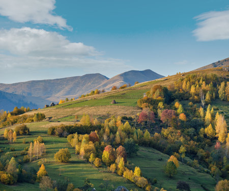 Autumn morning Carpathian Mountains calm picturesque scene, Ukraine. Peaceful traveling, seasonal, nature and countryside beauty concept scene.の写真素材