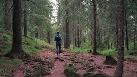 Trekking in the woods