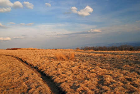 These colors are taken near sunset on Gregory Bald in the Great Smoky Mountains.の写真素材