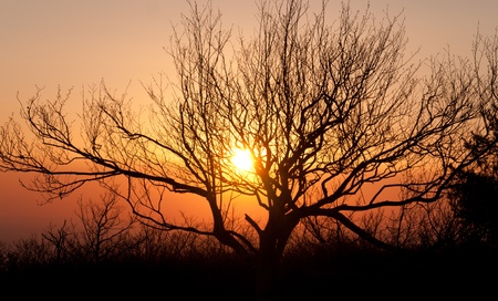 Sunset from Gregory Bald in the Smoky Mountainsの写真素材