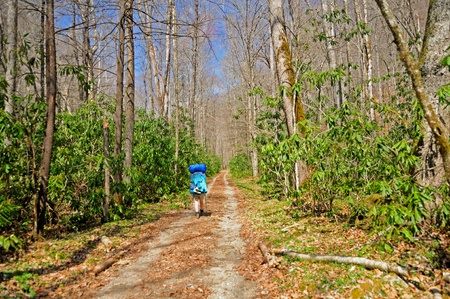 Backpacker on a wilderness trailの写真素材