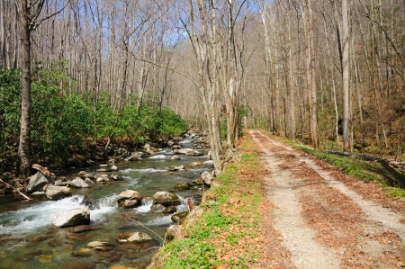 The Bradley Trail follows the Bradley fork into the wilds of the Smoky mountainsの写真素材