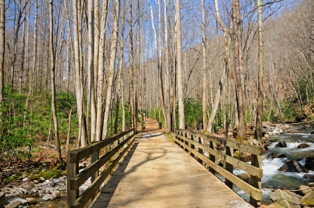 Bridge to explore the wilderness in the Great Smoky Mountainsの写真素材