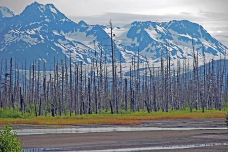 Alaskan wilderness sceneの写真素材