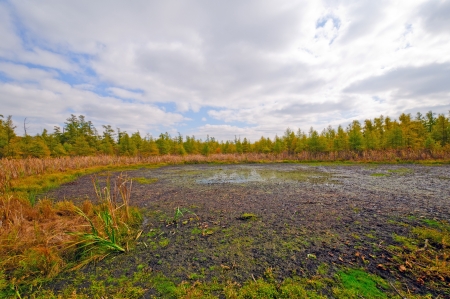 Volo Bog in Northern Illinois in the Fallの写真素材