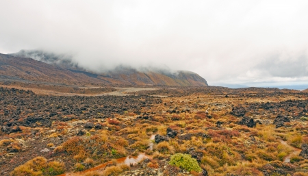 Lava Field along the Tongariro Crossing in New Zealandの写真素材
