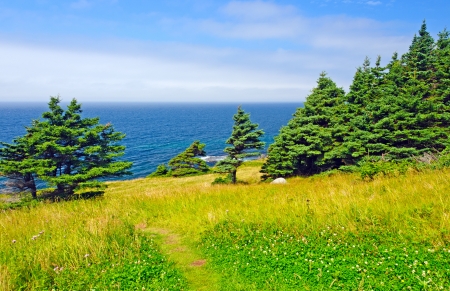 The Green Gardens in Gros Morne National Parkの写真素材