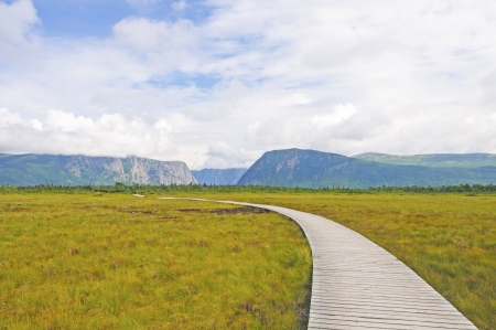 Boardwalk on the Western Brook Pond Trail in Gros Morne National Parkの写真素材