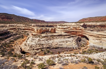 Armstrong Canyon in Natural Bridges National Monumentの写真素材