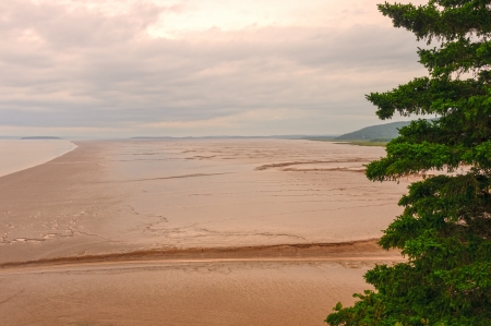 Mud flats at Low tide on the Bay of Fundy