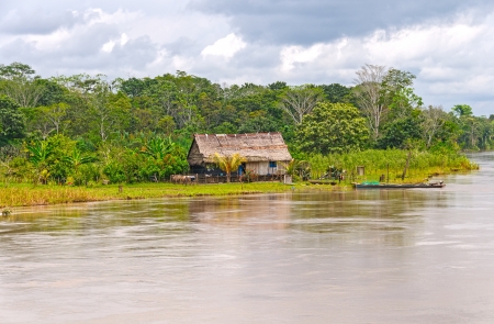 Native farm along the Amazon River in Peruの写真素材