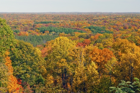 Fall Panorama in Brown County State Park in Indianaの写真素材