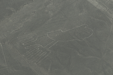 Geoglyph on the plain of Nazca in Peruの写真素材