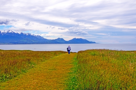 Mountains and Coastal Meadow above Kaikoura, New Zealandの写真素材