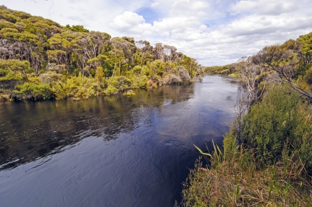 The Freshwater River on Stewart Island in New Zealandの写真素材