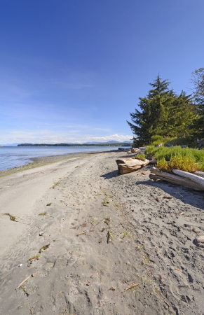 Remote Beach near Port Hardy on Vancouver Islandの写真素材