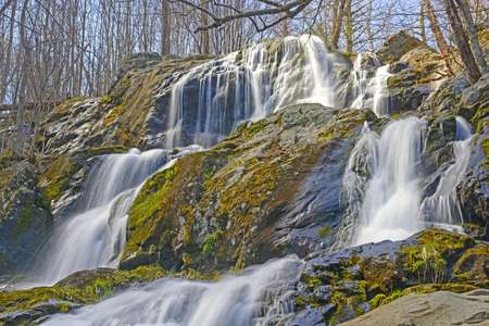 Dark Hollow Falls in Shenandoah National Park in Virginia in the Early Springの写真素材