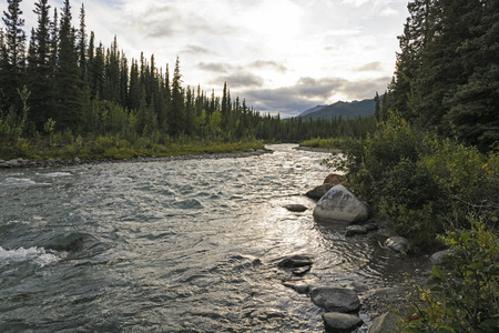 Twilight on a Riley Creek in Denali National Park in Alaskaの写真素材