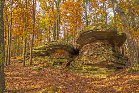 Hidden Mushroom Rocks in the Fall Forest in Garden of the Gods in Shawnee National Forest in Southern Illinoisの写真素材