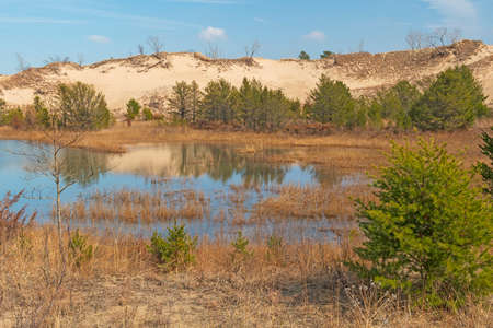 Wetland Pond Amidst the Dunes in Indiana Dunes National Park in Indianaの写真素材