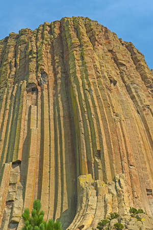 Vertical Column Details in a Monolith at Devils Tower National Monument in Wyoming