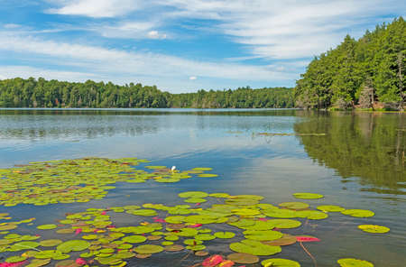 Beautiful Summer Day in the Great North Woods on Crooked Lake in the Sylvania Wilderness in Michiganの写真素材
