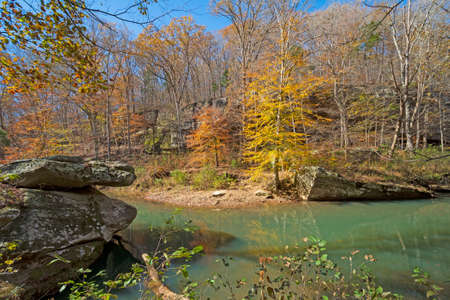 Fall Colors on a Quiet Forest Creek in the Bell Smith Springs Scenic Area in Illinoisの写真素材