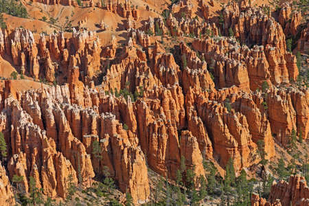 Hoodoo Details in a Western Canyon in Bryce Canyon National Park in Utah