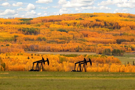 Oil pump on the agricultural field in bright yellow and orange autumn. Colourful trees and blue cloudy sky are on the background.の写真素材