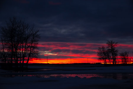 Colorful lanscape photography of the orange and blue sunset in Canadian prairies in winter with silhouette of trees.の写真素材