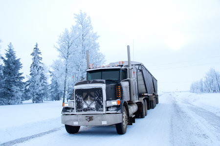 Semi-truck is parked on the icy country road in a foggy winter day, white lanscape and trees covered...