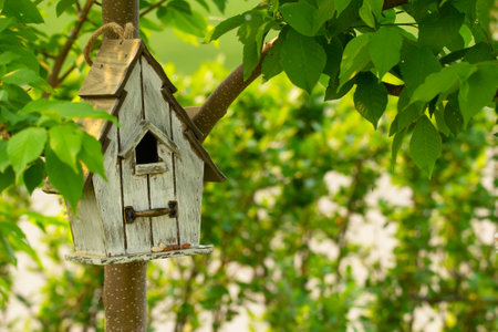 Cute crafted wooden bird house attached to the tree is hanging between branches with fresh green...