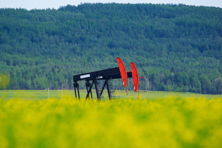 Pumpjack in the yellow blooming canola field and green forest hills in the background.の写真素材