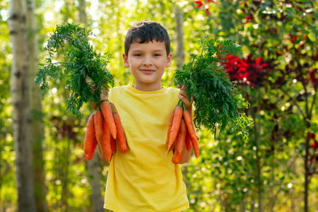 A smiling boy in yellow t-shirt is holding two bunches of large orange carrots with leaves in the autumn garden near green and red trees.の写真素材