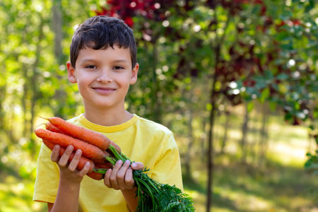 A smiling boy in yellow t-shirt is holding a big bunch of large orange carrots with leaves in the autumn garden near green and red trees.の写真素材