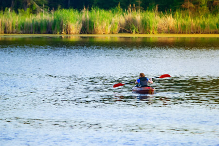 Two women are rowing kayaks in the peaceful lake surrounded with reeds and forest in warm summer...