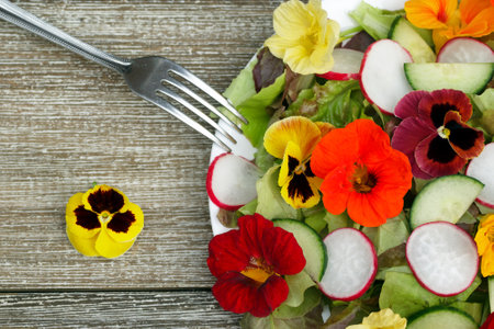 Healthy vegetarian salad of edible nasturtiums, pansies, lettuce and raddish on the wooden table with a fork on a plate.の写真素材