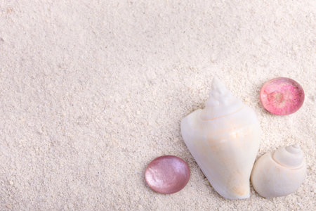 Summertime textured background with white cone shells and red glass pebbles on the white sand.