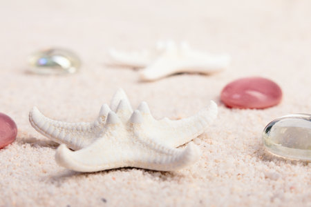 Summertime textured background with white star fish and red glass pebbles on the white sand.の写真素材