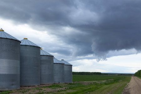 Row of old agricultural storage grain bins along the country road and the field with green grass and a dramatic stormy sky.の写真素材