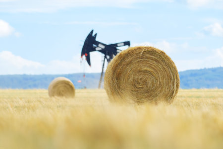 Rural landscape in prairies with big round yellow bales of fescue straw and black oil pump jack sin the field under blue cloudy sky.の写真素材